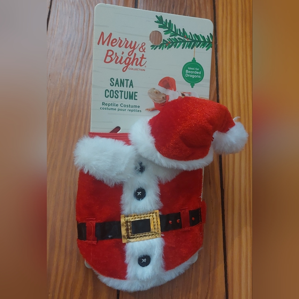 Reptile Santa Suit